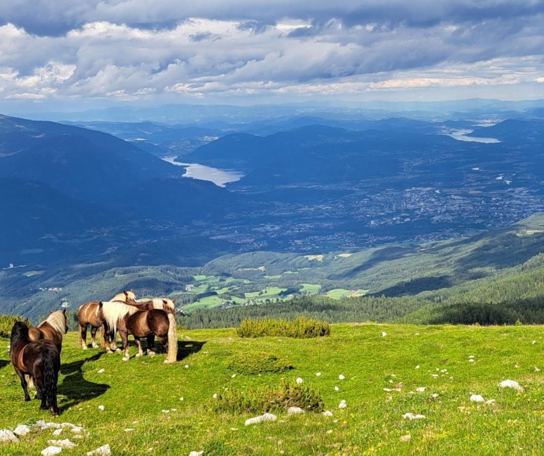 Direkter Seezugang Am Ossiacher See, Radfahren, Wandern & Erlebniscard Villach Eksteriør bilde